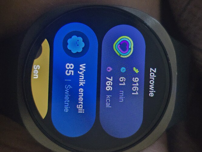 1000253713