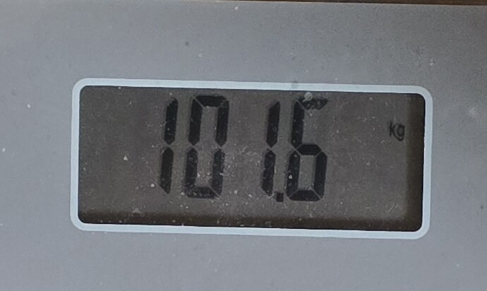 1000237355