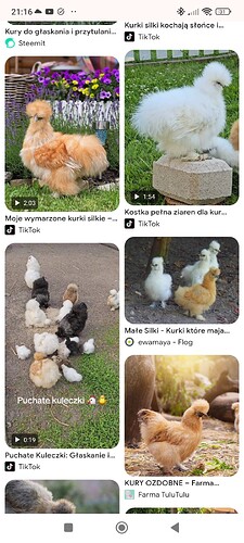 Screenshot_2026-03-09-21-16-43-631_com.android.chrome