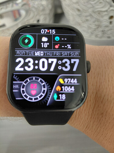 55453