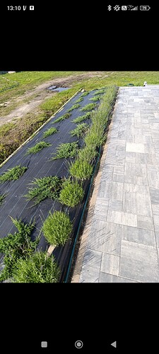 Screenshot_2026-02-06-13-10-01-223_com.google.android.apps.photos