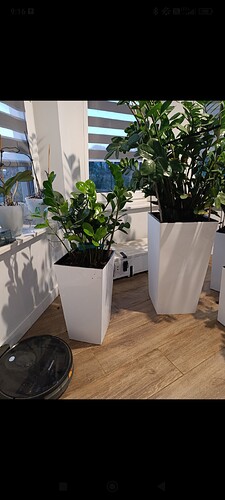 Screenshot_2026-02-06-09-16-40-949_com.google.android.apps.photos