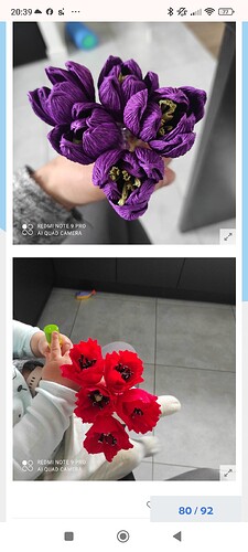 Screenshot_2025-11-11-20-39-23-366_com.android.chrome