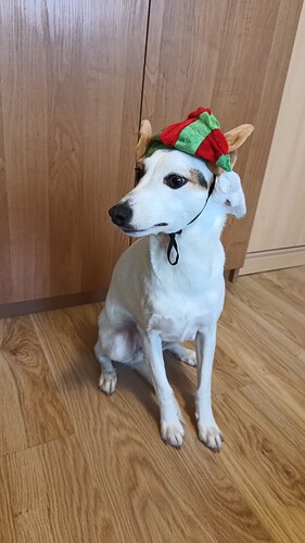 IMG_20251206_100231918_MP