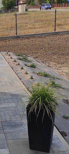 Screenshot_2026-02-06-13-10-46-188_com.google.android.apps.photos